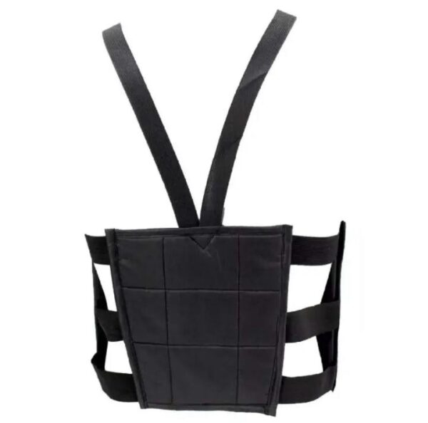 Chest Guard For Safety Bikers - Image 3